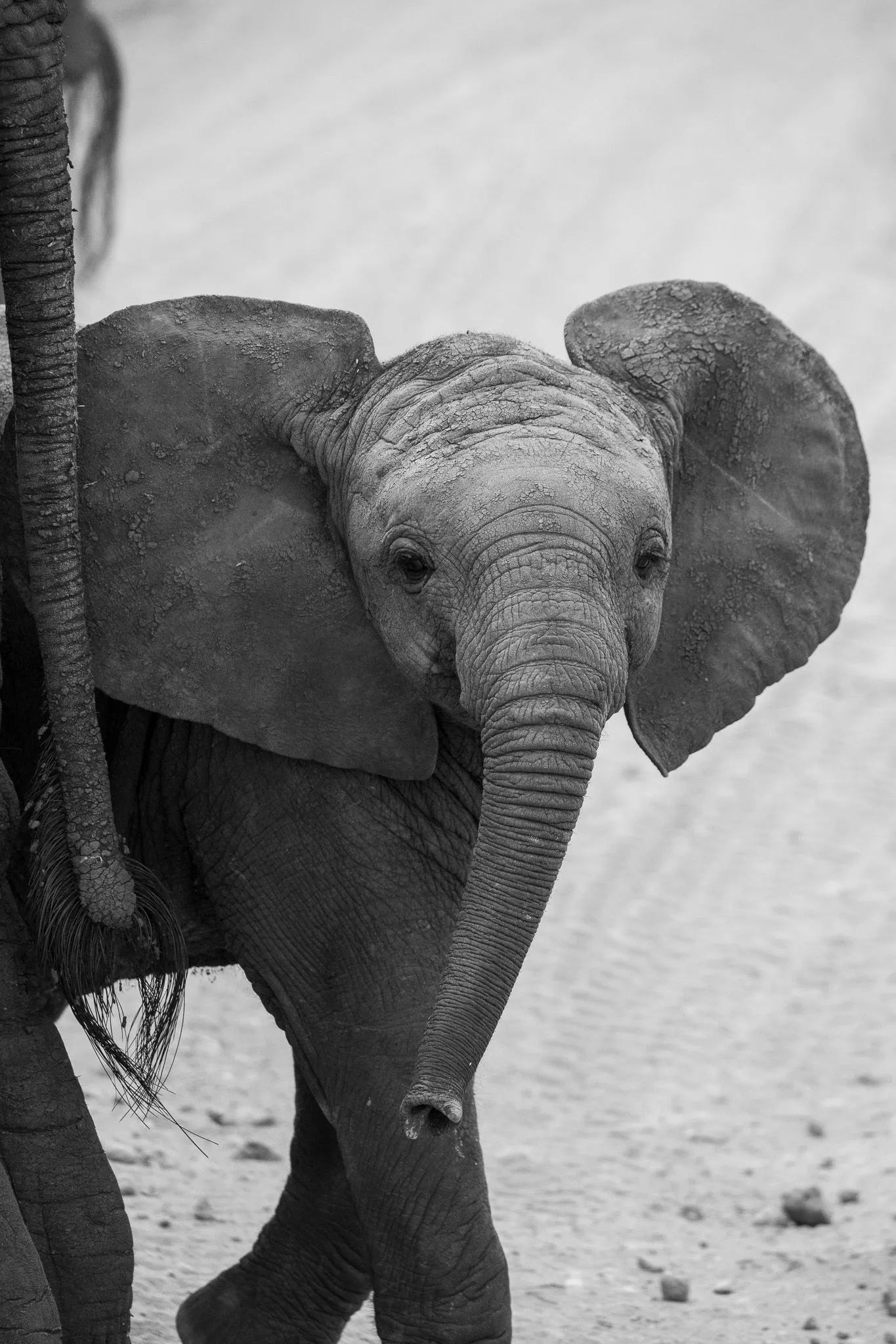 Tanzania, Tanzania