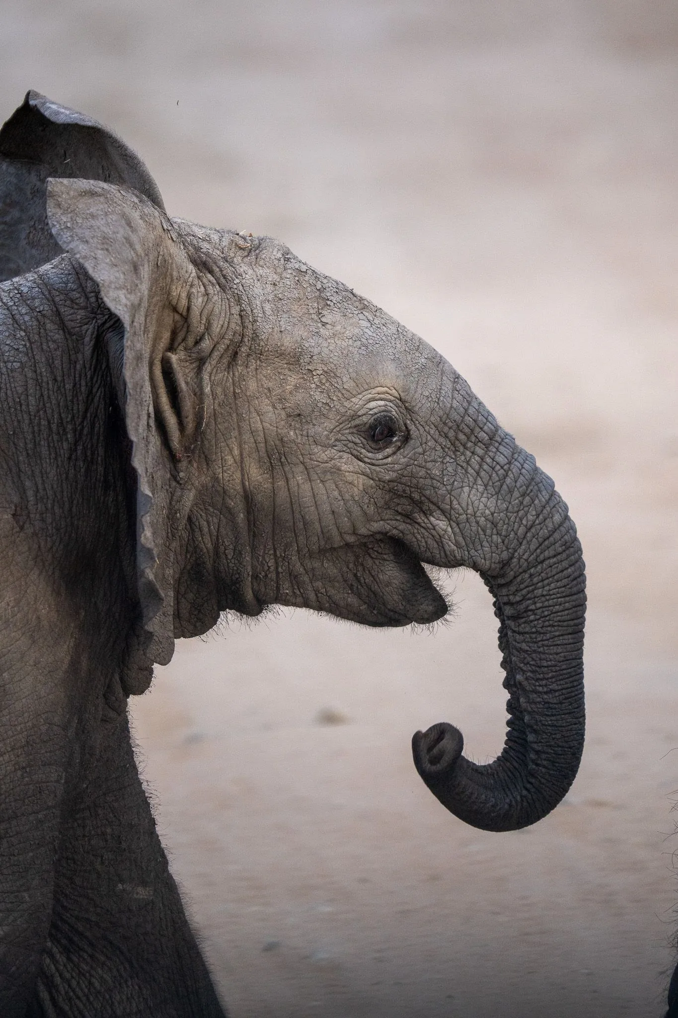 Tanzania, Tanzania