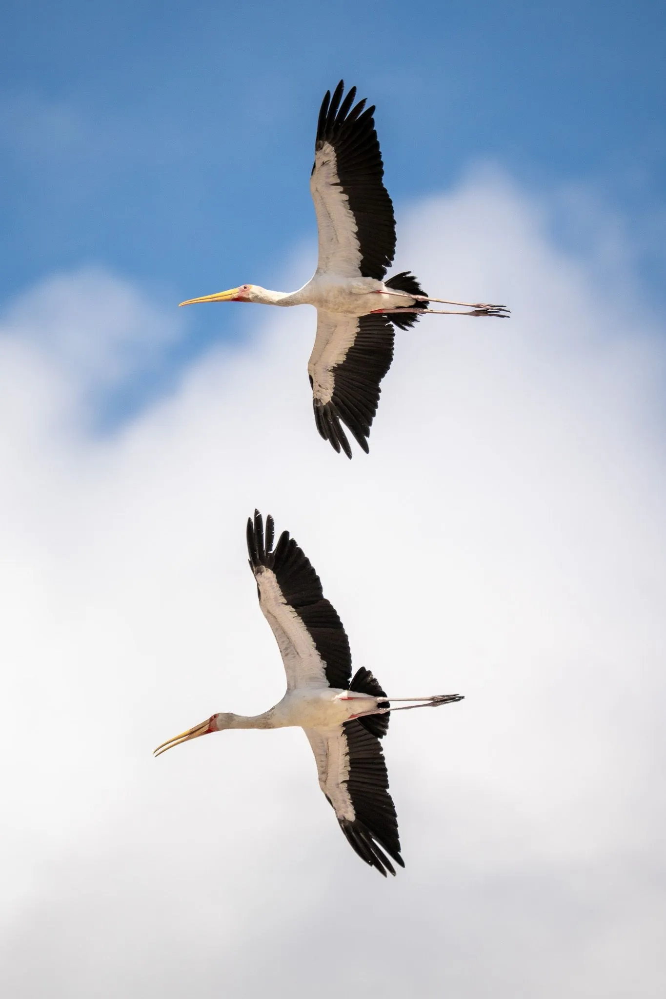 Tanzania