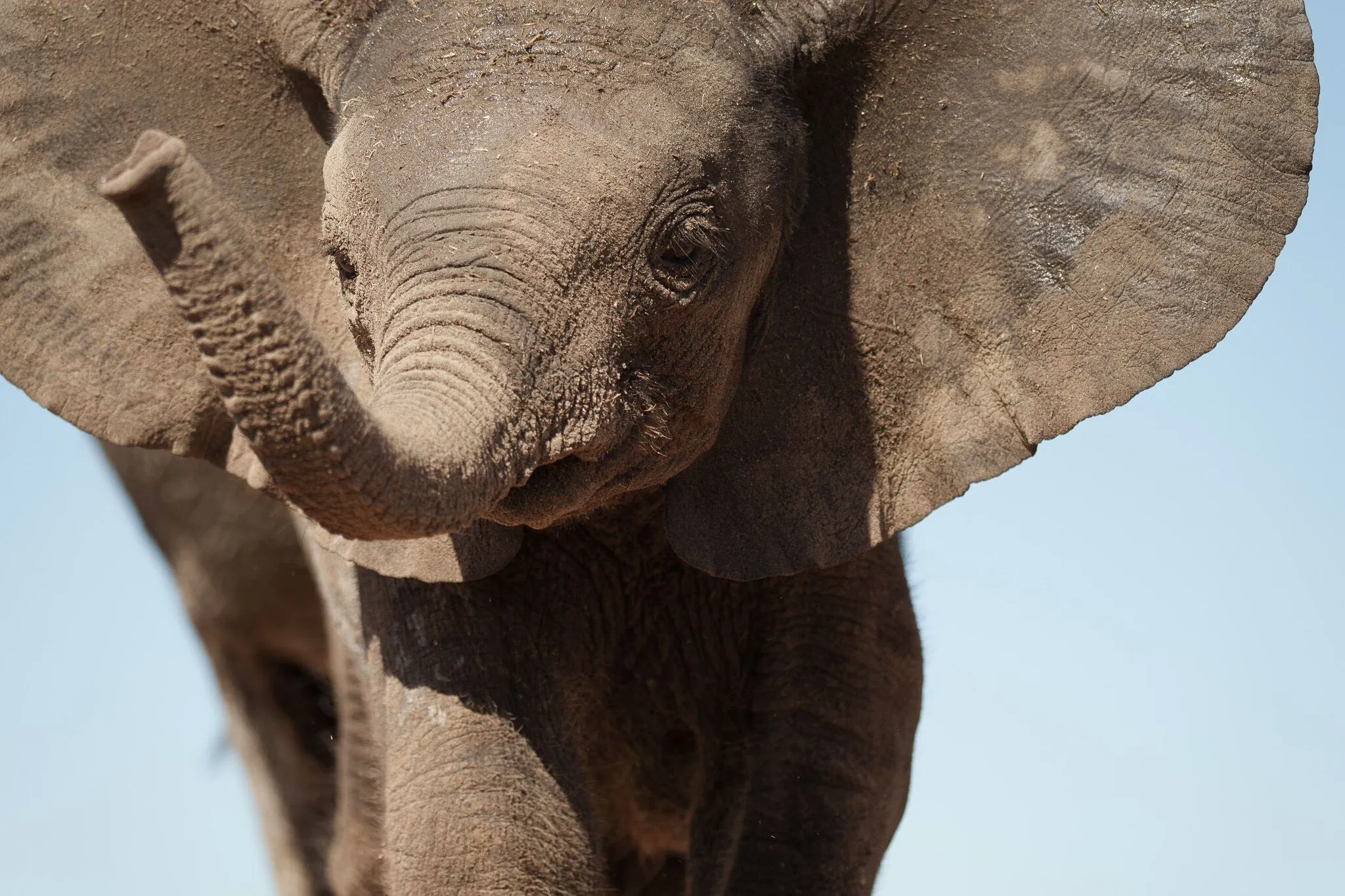 Namibia, Etosha National Park