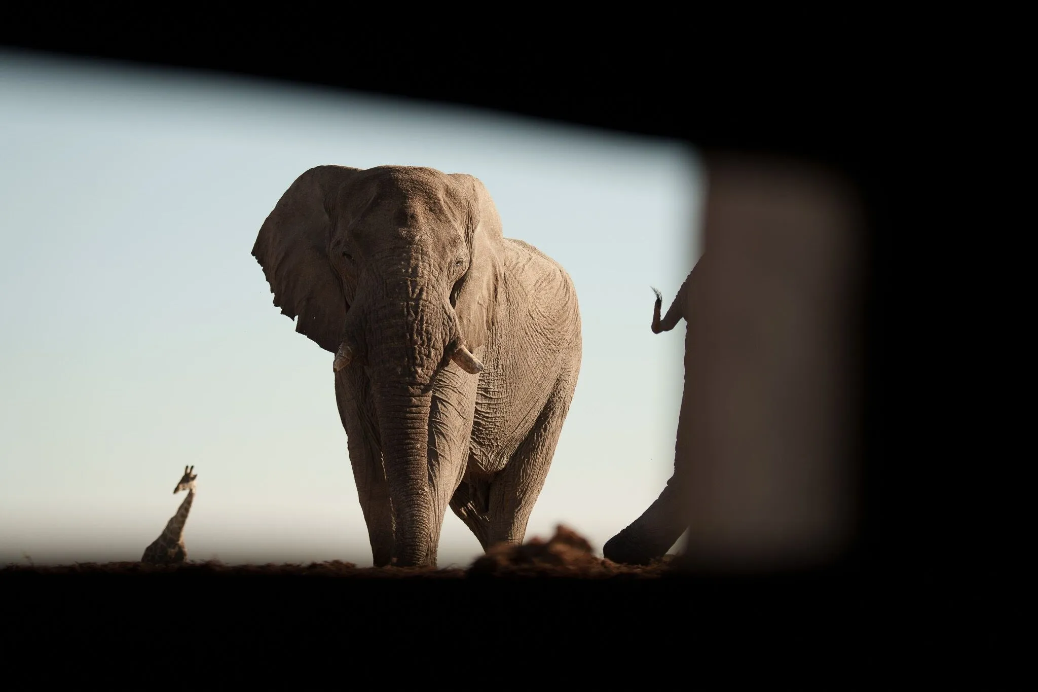 Namibia, Etosha National Park