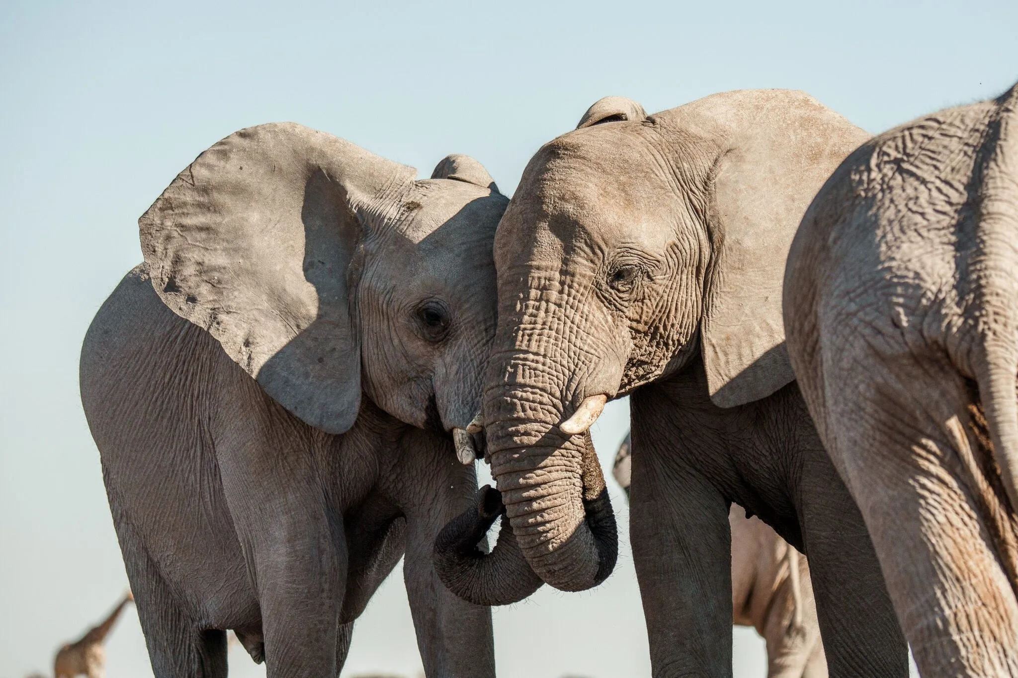 Namibia