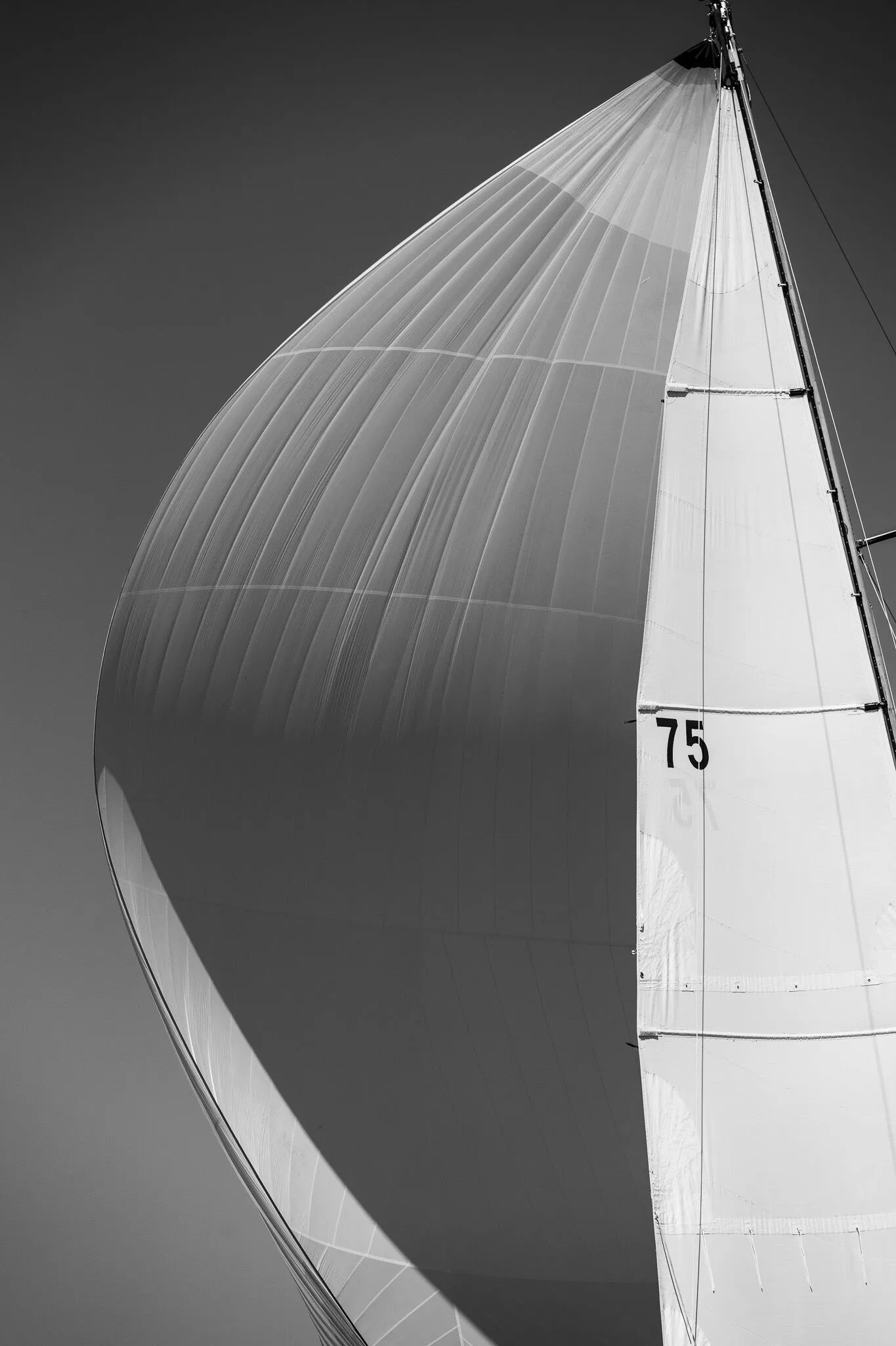 Sails against a bright sky, rendered in black and white, Penobscot Bay, ME